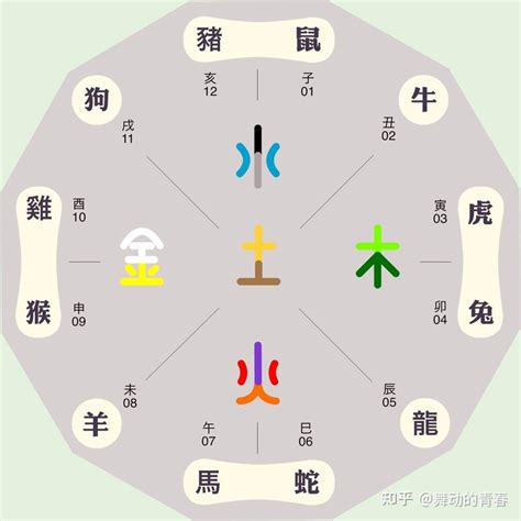 辰午合|全面总结十二地支之间的关系